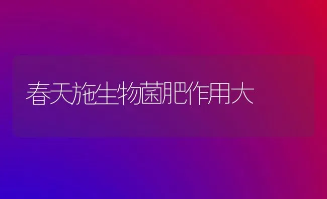 种植药材须要冷静 | 药材种植