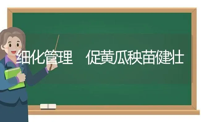 细化管理 促黄瓜秧苗健壮 | 蔬菜种植