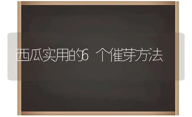 西瓜实用的6个催芽方法 | 瓜果种植