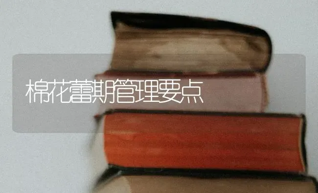 棉花蕾期管理要点 | 粮油作物种植