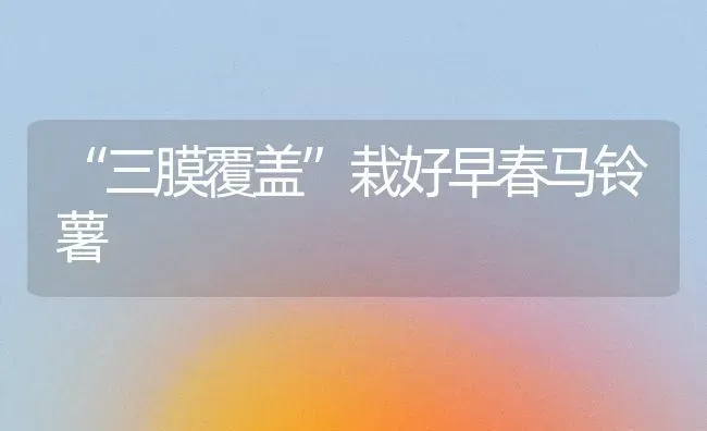 “三膜覆盖”栽好早春马铃薯 | 粮油作物种植