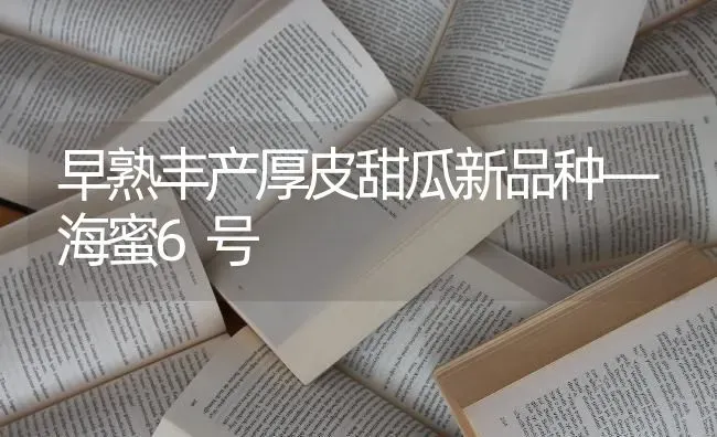 早熟丰产厚皮甜瓜新品种—海蜜6号 | 瓜果种植