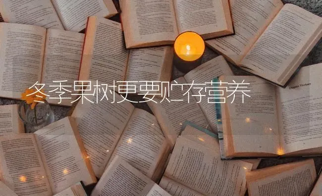 冬季果树更要贮存营养 | 瓜果种植