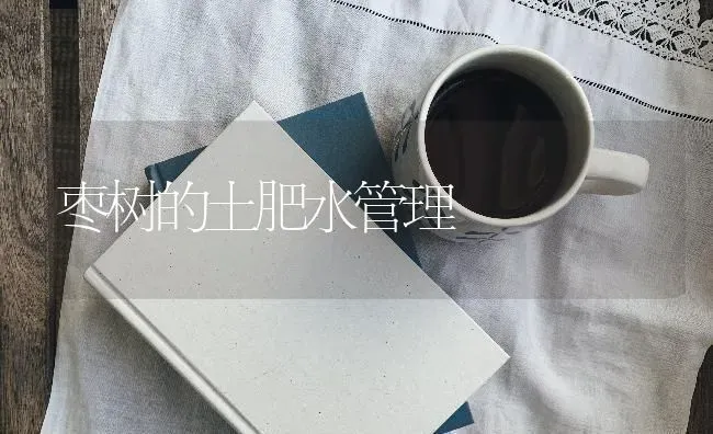 枣树的土肥水管理 | 瓜果种植