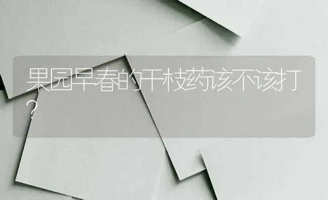 果园早春的干枝药该不该打？ | 瓜果种植