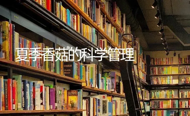 夏季香菇的科学管理 | 食用菌种植
