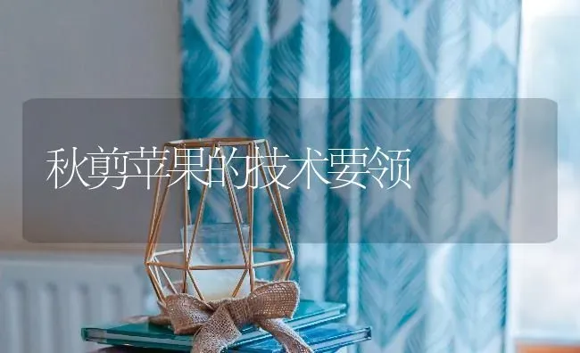 秋剪苹果的技术要领 | 瓜果种植