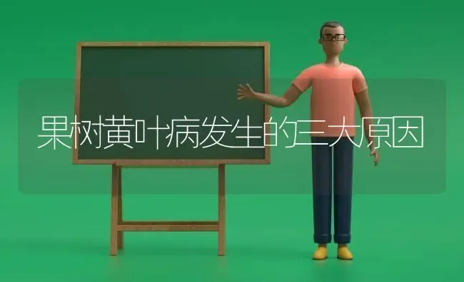 果树黄叶病发生的三大原因 | 瓜果种植