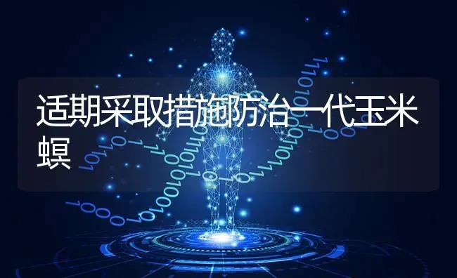 适期采取措施防治一代玉米螟 | 粮油作物种植