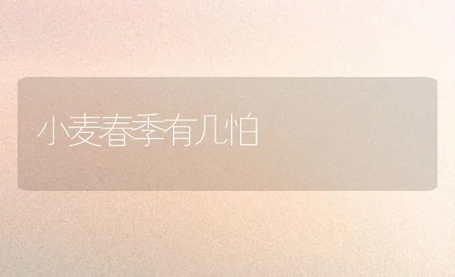 小麦春季有几怕 | 粮油作物种植