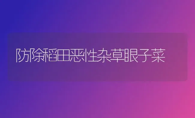 防除稻田恶性杂草眼子菜 | 蔬菜种植