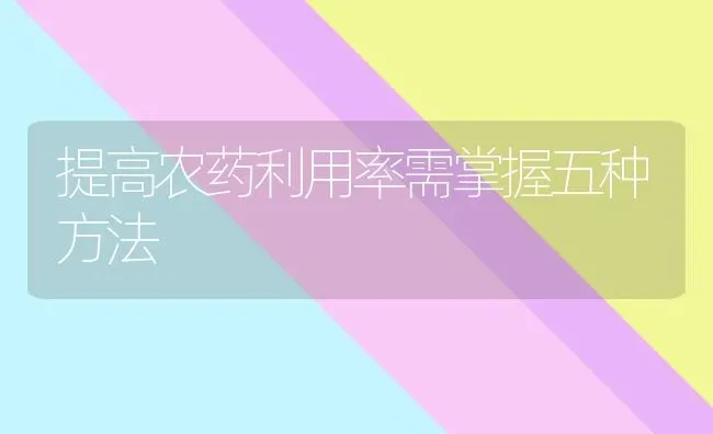 提高农药利用率需掌握五种方法 | 种植病虫害防治