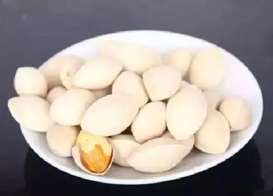 果实科普|白果是果实吗
