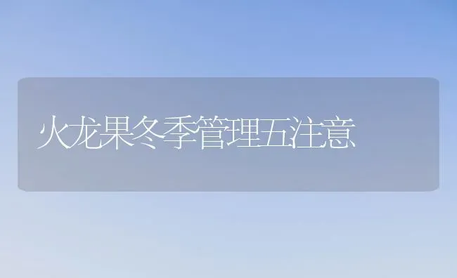 火龙果冬季管理五注意 | 瓜果种植