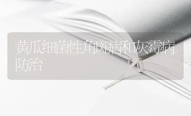 黄瓜细菌性角斑病和灰霉病防治 | 蔬菜种植
