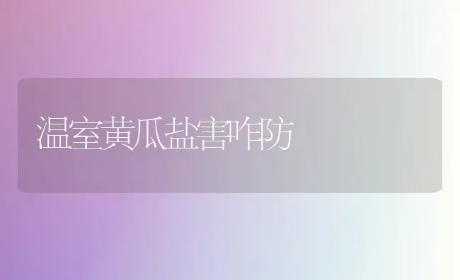温室黄瓜盐害咋防 | 蔬菜种植