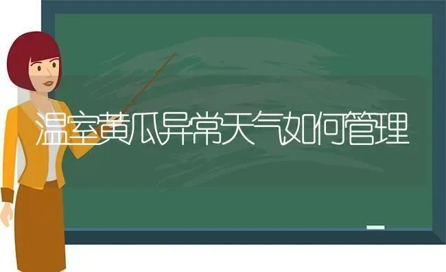 温室黄瓜异常天气如何管理 | 蔬菜种植