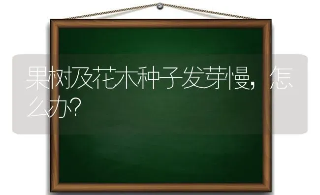 果树及花木种子发芽慢，怎么办？ | 瓜果种植