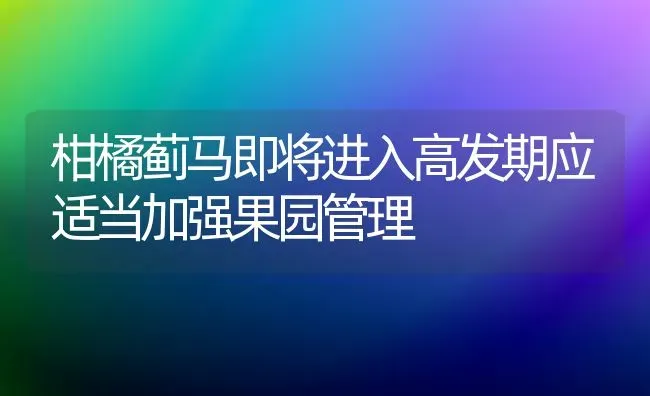 柑橘蓟马即将进入高发期应适当加强果园管理 | 瓜果种植