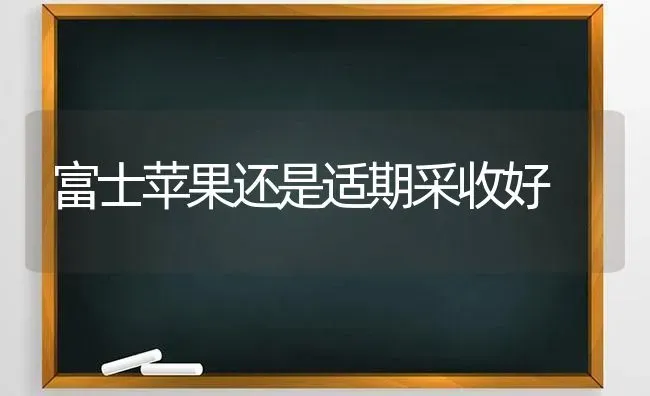 富士苹果还是适期采收好 | 瓜果种植