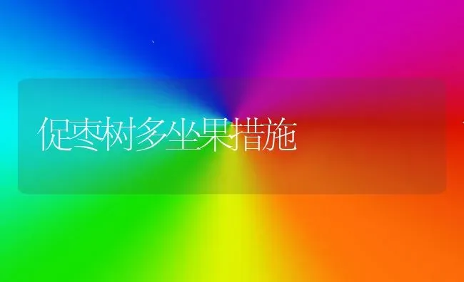 促枣树多坐果措施 | 瓜果种植