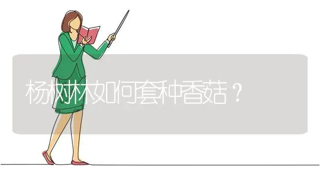 杨树林如何套种香菇？ | 食用菌种植