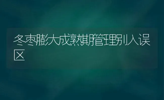 冬枣膨大成熟期管理别入误区 | 瓜果种植