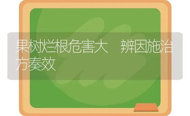 果树烂根危害大 辨因施治方奏效 | 瓜果种植