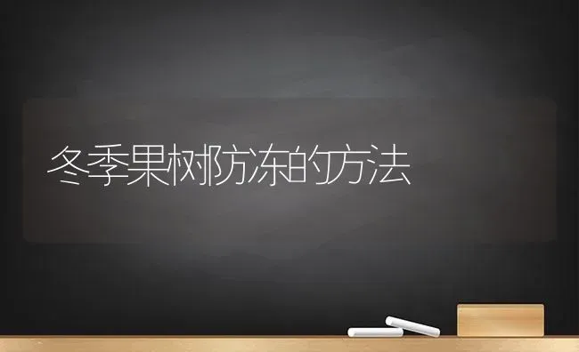 冬季果树防冻的方法 | 瓜果种植