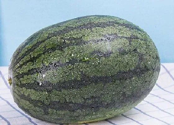 水果科普|拜年买什么水果合适