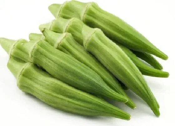 食用常识|秋葵需要去皮吗