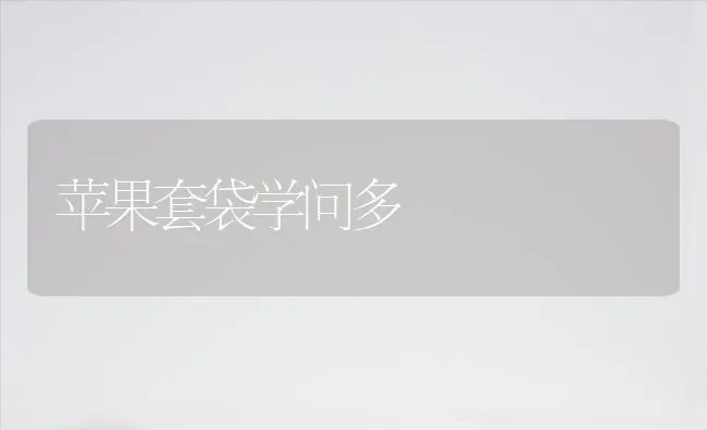 苹果套袋学问多 | 瓜果种植