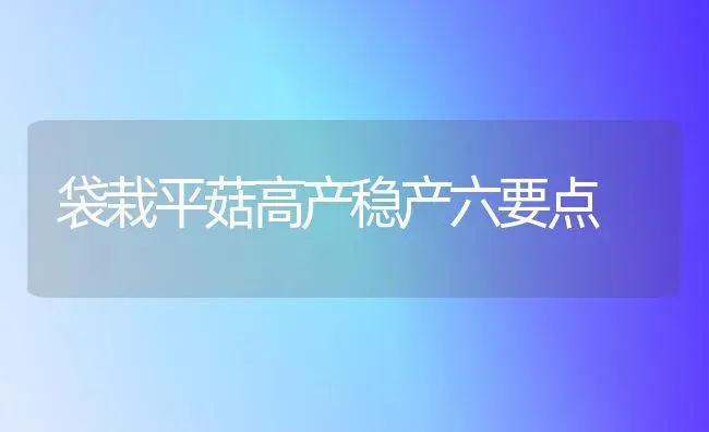 袋栽平菇高产稳产六要点 | 食用菌种植