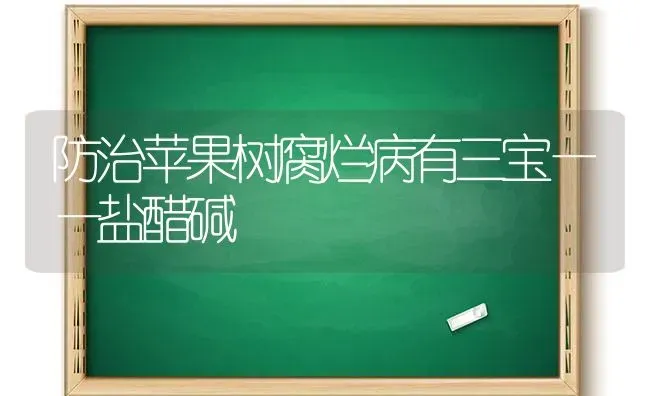 防治苹果树腐烂病有三宝——盐醋碱 | 瓜果种植