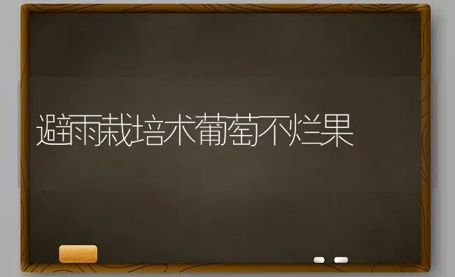 避雨栽培术葡萄不烂果 | 瓜果种植