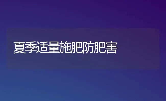 夏季适量施肥防肥害 | 种植肥料施肥