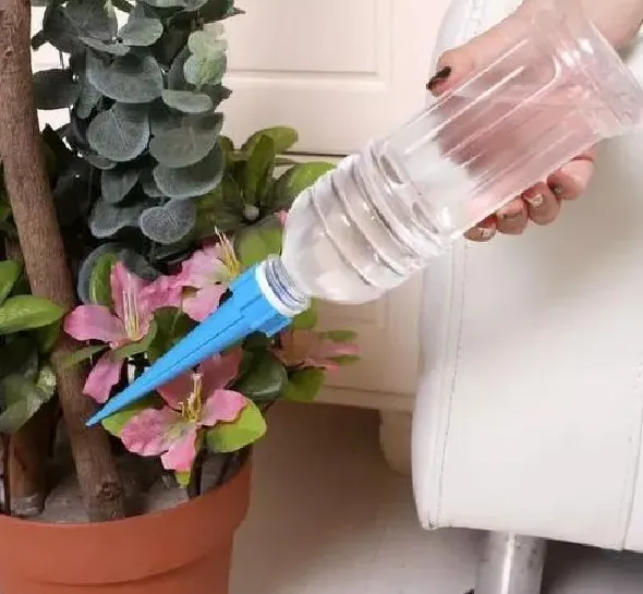 植物浇水|养鱼的水可以浇花吗 适合浇什么花
