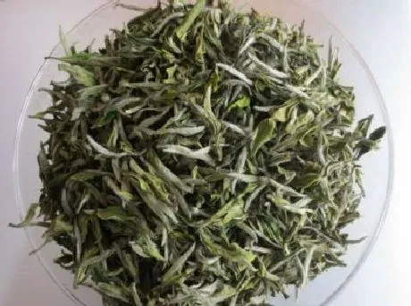 功效常识|白牡丹茶的功效与作用