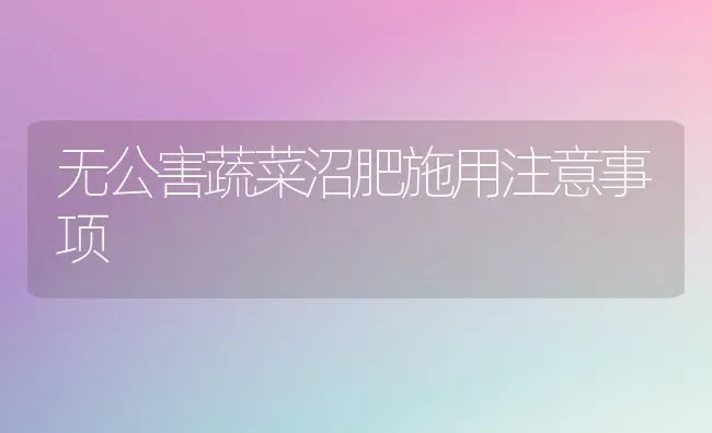 无公害蔬菜沼肥施用注意事项 | 蔬菜种植