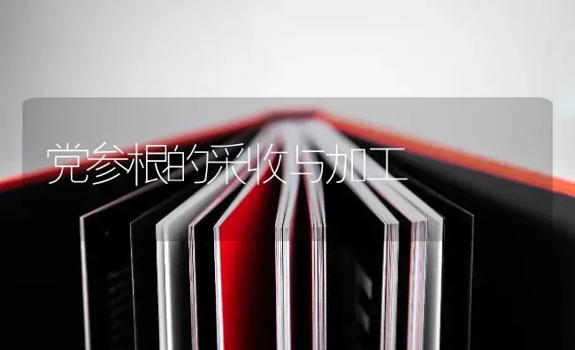 小麦年后有几怕 | 粮油作物种植