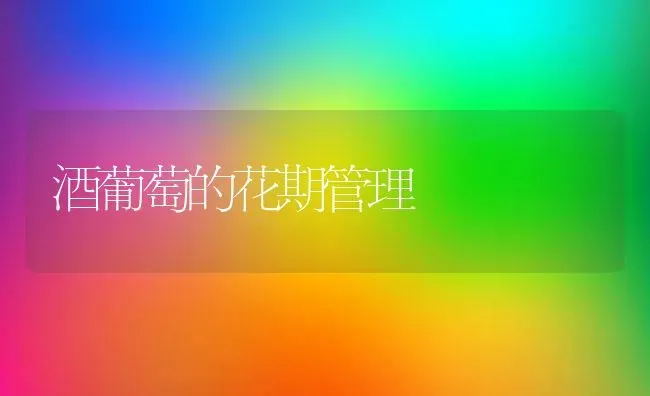 酒葡萄的花期管理 | 瓜果种植