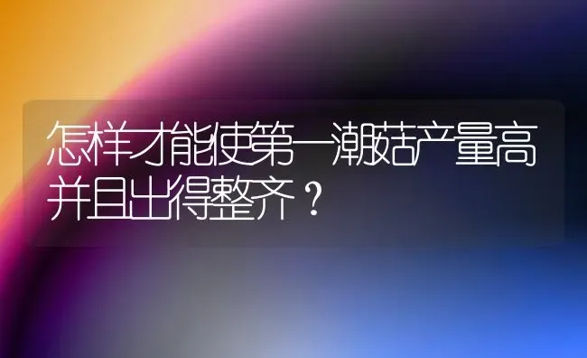 怎样才能使第一潮菇产量高并且出得整齐？ | 食用菌种植