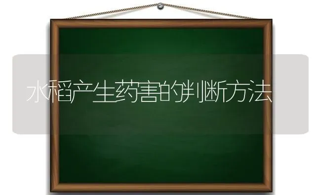 水稻产生药害的判断方法 | 粮油作物种植