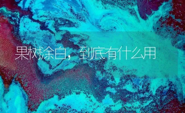 果树涂白，到底有什么用 | 瓜果种植