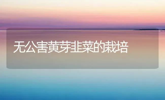 无公害黄芽韭菜的栽培 | 蔬菜种植