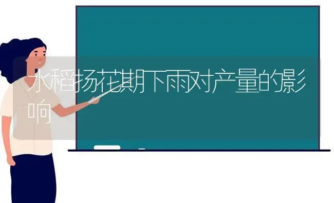 水稻扬花期下雨对产量的影响 | 粮油作物种植