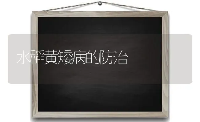 水稻黄矮病的防治 | 粮油作物种植