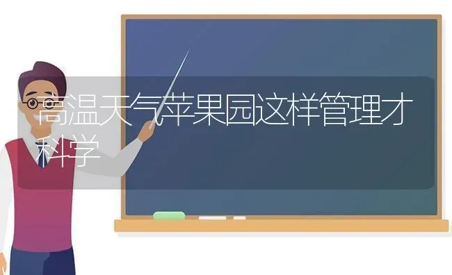 高温天气苹果园这样管理才科学 | 瓜果种植