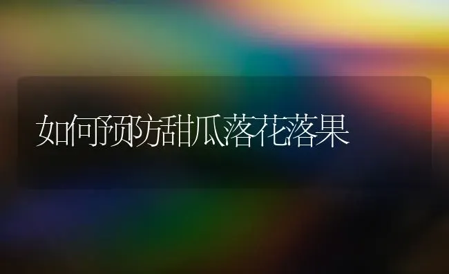 如何预防甜瓜落花落果 | 瓜果种植