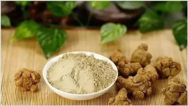 三七田间管理要点 | 自然知识